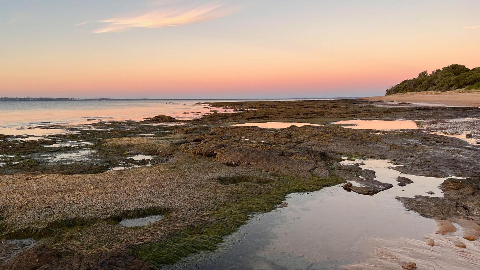 Vila Seasong Ventnor Exteriér fotografie